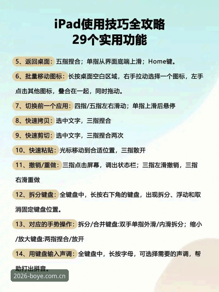 博业体育平台使用教程：从下载到高效体验的全流程指南